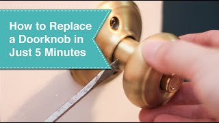 How to Replace Door Knobs [upl. by Atiuqel]