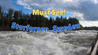 Storforsen SwedenSverige Walkthrough Älvsbyn 4K 2020 Beautiful Rapids [upl. by Airym]