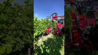 DEMO Tour  Pulsní defoliátor ERO VITIPULSE DUO 300 [upl. by Luhar497]