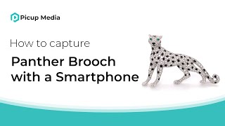 How to capture Cartier Panther Brooch using the GemLightbox [upl. by Elyc]