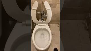 Vitromex Apolo toilet at Holiday Inn [upl. by Akym]