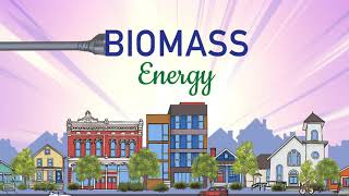 What is Biomass A Renewable Energy Source that Puts Organic Waste to Use [upl. by Iorgos]