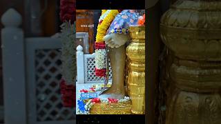 sai baba kakad aarti live darshan today  shorts [upl. by Atteoj]