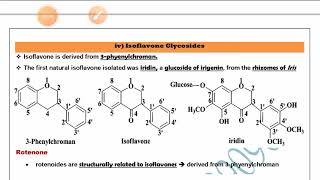 phytochemistry glycosides flavonoids part 3 [upl. by Corell]