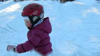 Luistelijat Les Patineurs  Matti Viljanen Accordion [upl. by Stacia]