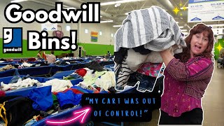 Come Dig Through The Bins With Me To Find The Treasures  GOODWILL OUTLET Bins THRIFT HAUL TO RESELL [upl. by Claudianus]