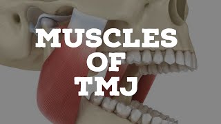 Muscles of temporomandibular joint [upl. by Ettedualc]