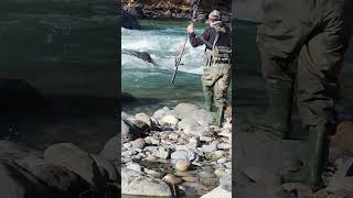 I caught a salmon in a huge currentI ❤️ salmon fishing Vedder river Canada 🇨🇦 12 [upl. by Alleusnoc452]