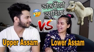 Upper Assam Vs Lower Assam 😨  Who is better [upl. by Winni]