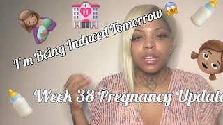 🍼🎀 WEEK 38 Pregnancy Update IM BEING INDUCED 😱 [upl. by Older935]