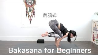 烏鴉式 Bakasana for Beginners Flow with Katie [upl. by Raynell]