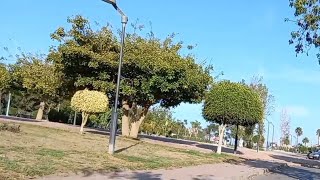 VLOG 🇲🇦kenitra Morocco🌺♥️🇲🇦 [upl. by Dafodil]