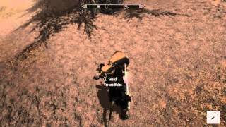 Elder Scrolls V Skyrim Dragonborn DLC Gameplay  Find Verona Nelas [upl. by Annayad595]