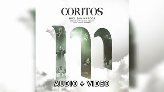 Coritos – Miel San Marcos  Evangelio 2023  Audio Original [upl. by Eidoow]