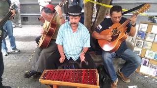 Downtown San Jose Costa Rica Street Music [upl. by Vander472]