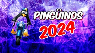 Pingüinos 2024  La MAYOR concentración MOTERA del MUNDO [upl. by Bari]