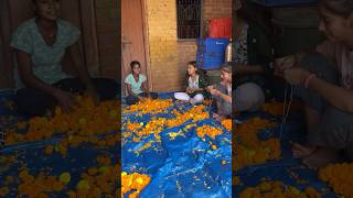 Man gye Diwali 🪔 likeforlikes minivlog tagsviral ytstudieo comments share youtubeshort [upl. by Monahan]