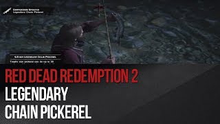 Red Dead Redemption 2  Legendary Chain Pickerel [upl. by Ennaj268]