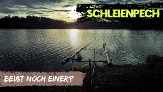 Folge 22 BEIßT NOCH EINER [upl. by Lindberg]