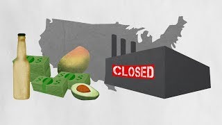 NAFTA explained by avocados And shoes [upl. by Jewelle]