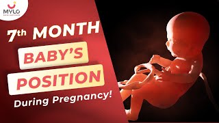 28 Weeks Pregnant Baby Position  7th Month Baby Position In Womb  Mylo Family [upl. by Nahgeam]