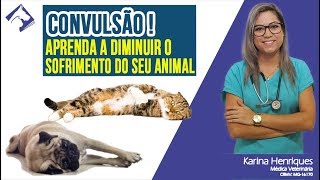 Convulsão Aprenda a diminuir o sofrimento do seu animal  Auxiliar de Veterinário  Micronet [upl. by Nunes]