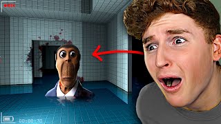 Do NOT Trust OBUNGA FULL GAME [upl. by Tabbi]