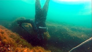 Chasse sous marine en méditerranée 2018 Cressi Team [upl. by Acisse]