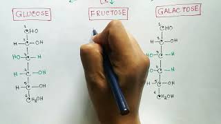 Carbohydrates  Monosaccharides  Glucose  Fructose  Galactose [upl. by Odlanor]