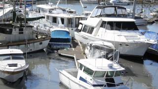 Tsunami Brookings Oregon damage one dead [upl. by Parlin]