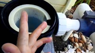 How To Fix A Pool Pump That Is Not Priming LOSING PRESSURESUCTION [upl. by Maurili982]