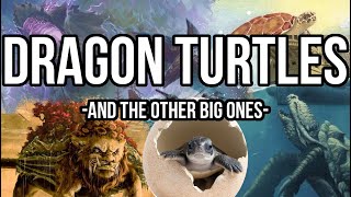 World Lion and Dragon Turtles Are Awesome [upl. by Nihcas72]