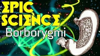 Borborygmi  Epic Science 7 [upl. by Zizaludba]