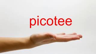 How to Pronounce picotee  American English [upl. by Clarance]