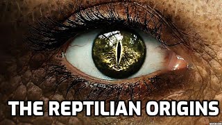 Reptilian origins [upl. by Shea]