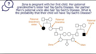 Probability calculation from a pedigree  Sample 4 [upl. by Luke89]