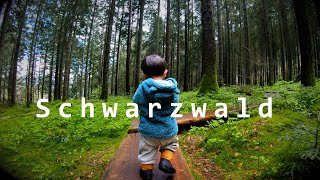 Schwarzwald  Straßburg Travel Vlog Familienabenteur mit Kraxe [upl. by Jorgan]