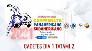 Campeonato Panamericano Cadete Cali 2021 Tatami 2 [upl. by Beyer816]