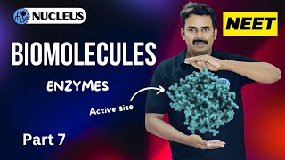 Enzymes II Biomolecules II Nucleus neet Academy [upl. by Dazhahs688]