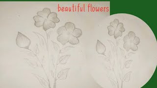 Beautiful flowers design drawing with pencil ✏️ [upl. by Curtice]