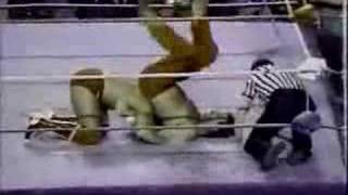 Jake The Snake Roberts Vs Terry Taylor [upl. by Yadsnil]