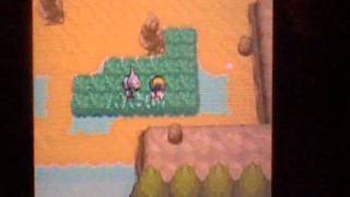 How To Catch Kangaskhan In Pokemon Heartgold [upl. by Islean]