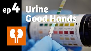 Ep 4 Urine it’s like a clinical compass [upl. by Yancey]