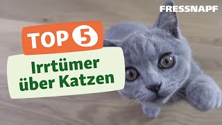 Top 5 Irrtümer über Katzen [upl. by Letizia]