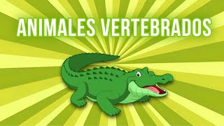 Los Animales Vertebrados 🐊  Vídeo Educativo para Niños [upl. by Eahsram537]