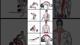 Erector spinae workoutgym video boodybuilding fitness explorepage [upl. by Aiden401]