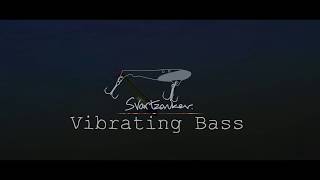 Vibrating Bass [upl. by Hollis]