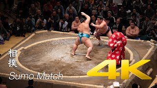 Sumo Match  Tokyo  相撲 [upl. by Reisch627]