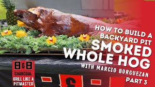 How to Smoke a Whole Hog in a Backyard Firepit  Part 3 [upl. by Ecraep]