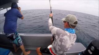 Sailfish fishing in Kuala Rompin Malaysia [upl. by Oirasec]